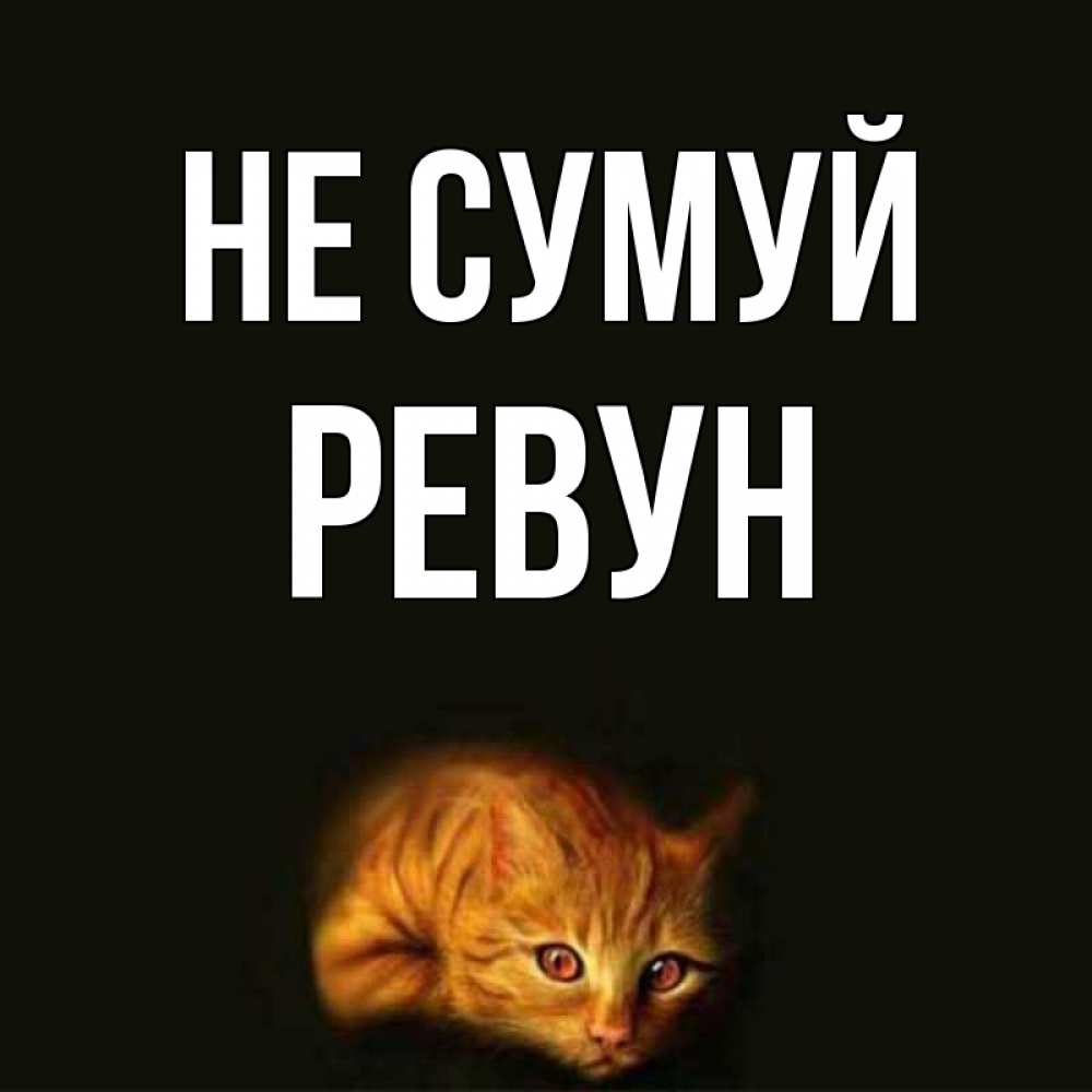 Открытка на каждый день з підписом, Ревун Не сумуй лежащий кот в темноте Прикольна листівка з побажанням онлайн скачати безкоштовно 