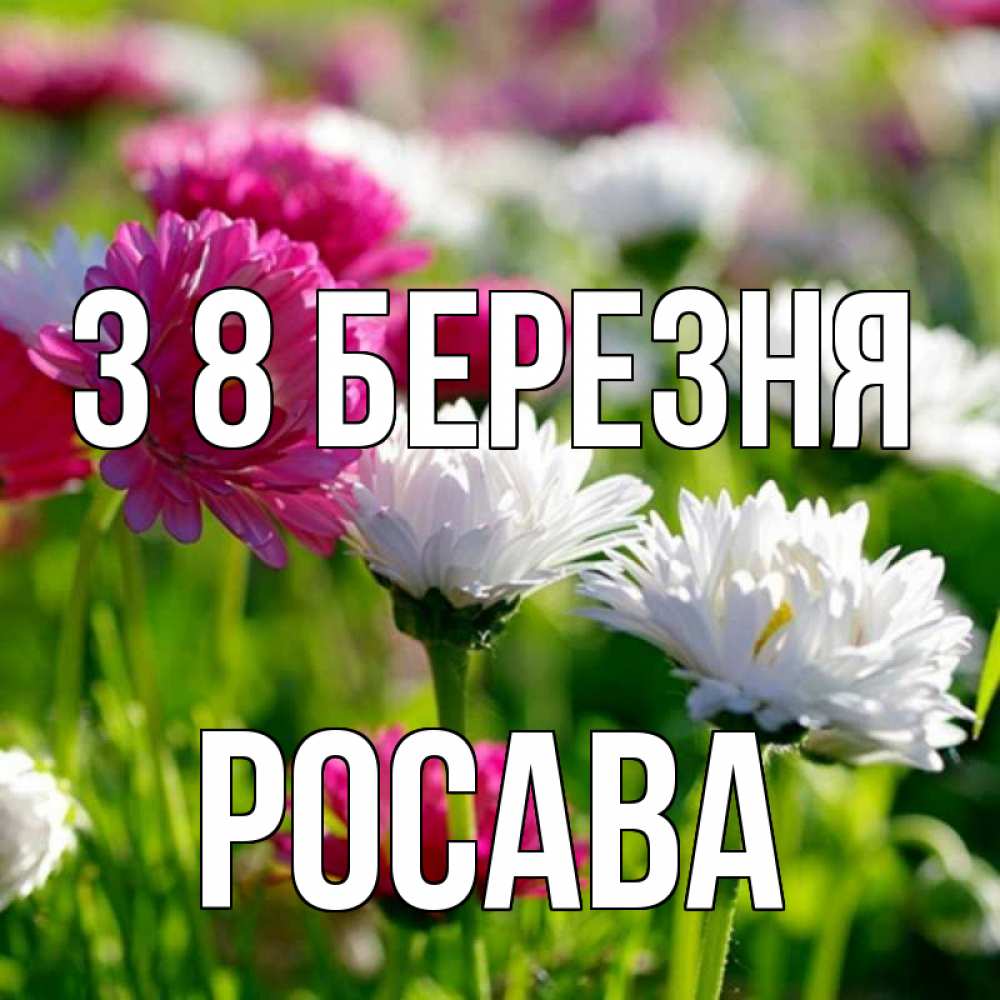 Открытка на каждый день з підписом, Росава З 8 БЕРЕЗНЯ международный женский день 1 Прикольна листівка з побажанням онлайн скачати безкоштовно 