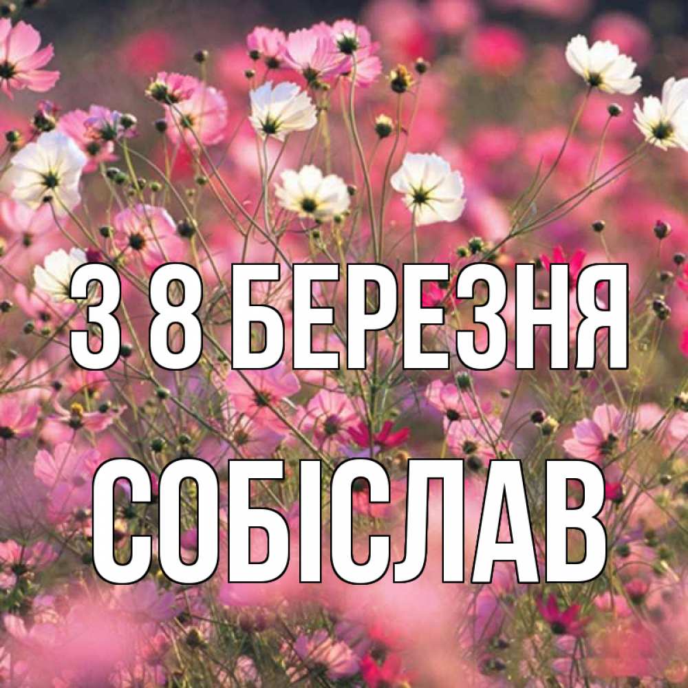 Открытка на каждый день з підписом, Собіслав З 8 БЕРЕЗНЯ красиво 1 Прикольна листівка з побажанням онлайн скачати безкоштовно 