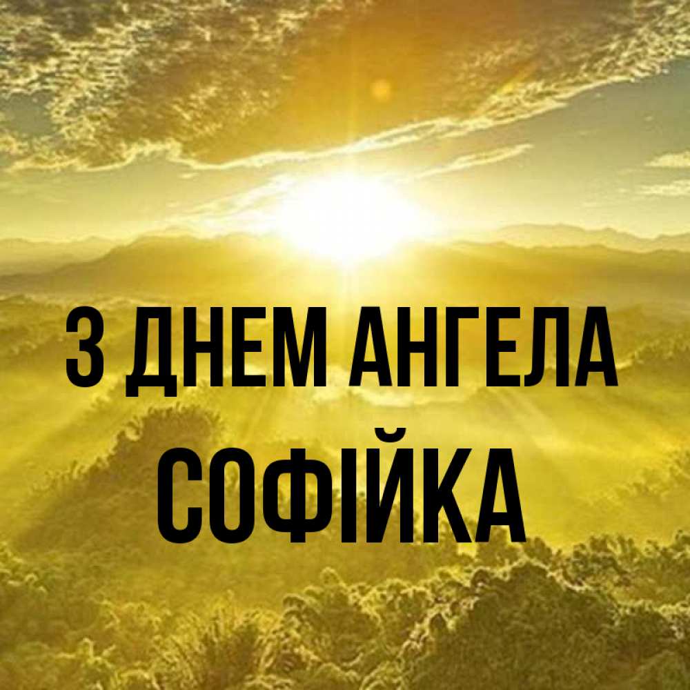 Открытка на каждый день з підписом, Софійка З Днем ангела леса и небо в желтом Прикольна листівка з побажанням онлайн скачати безкоштовно 