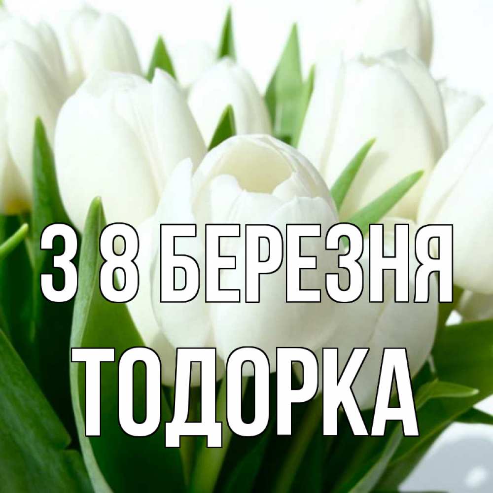 Открытка на каждый день з підписом, Тодорка З 8 БЕРЕЗНЯ цветы Прикольна листівка з побажанням онлайн скачати безкоштовно 