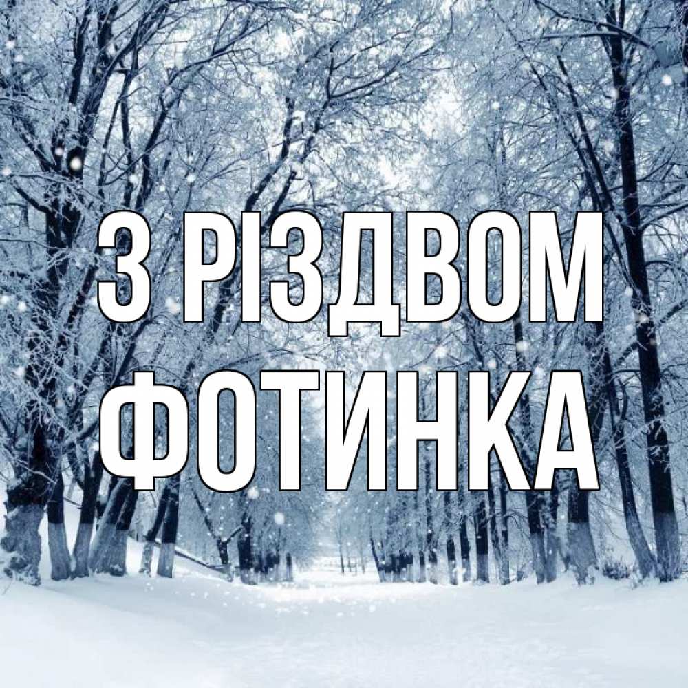 Открытка на каждый день з підписом, Фотинка З Різдвом снег, лес, парк Прикольна листівка з побажанням онлайн скачати безкоштовно 