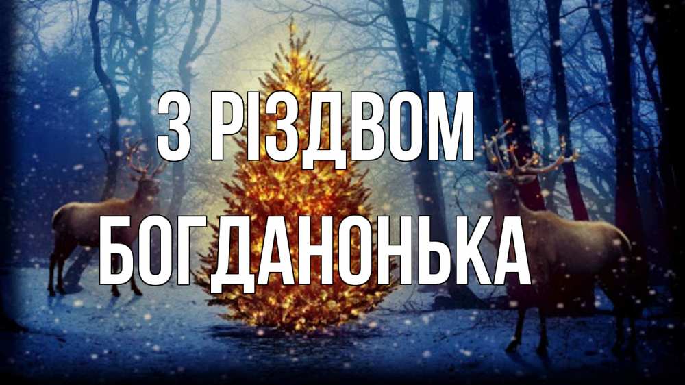 Открытка на каждый день з підписом, Богданонька З Різдвом олени, новогодняя елка Прикольна листівка з побажанням онлайн скачати безкоштовно 