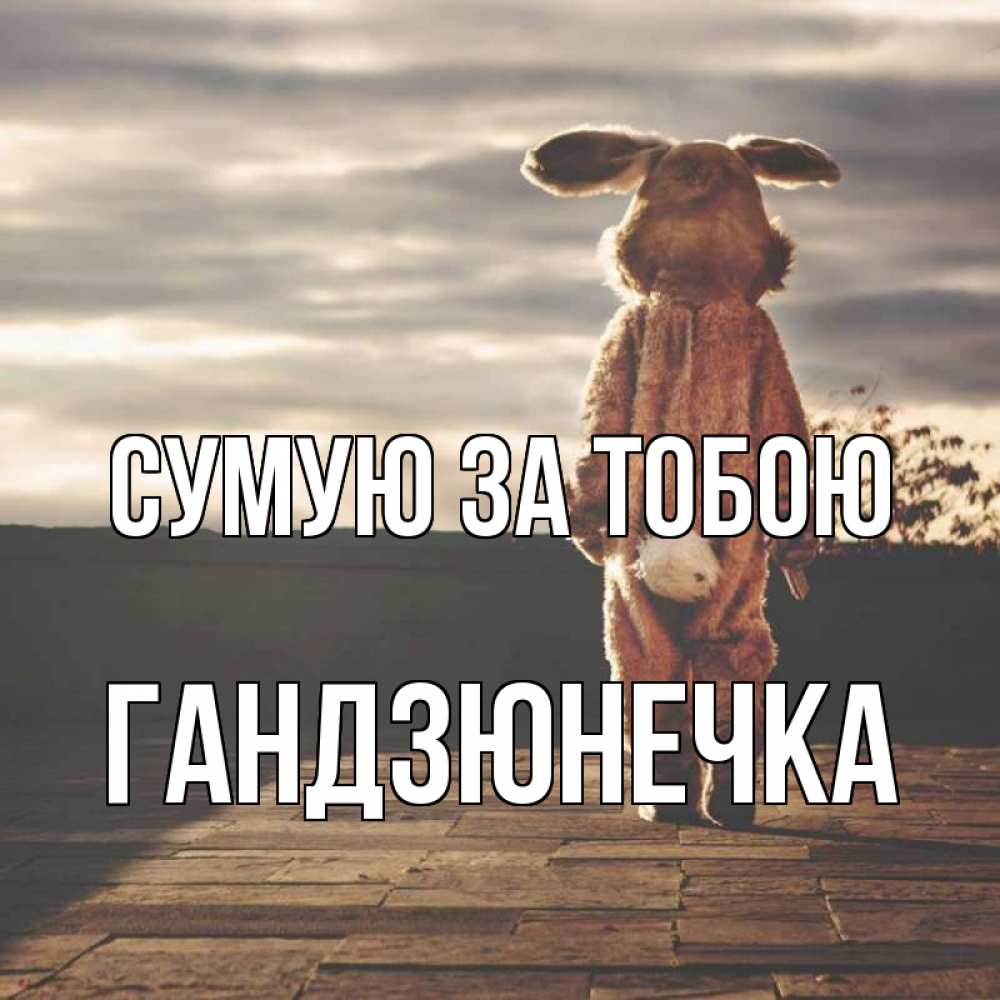 Открытка на каждый день з підписом, Гандзюнечка Сумую за тобою даже в костюме зайца Прикольна листівка з побажанням онлайн скачати безкоштовно 
