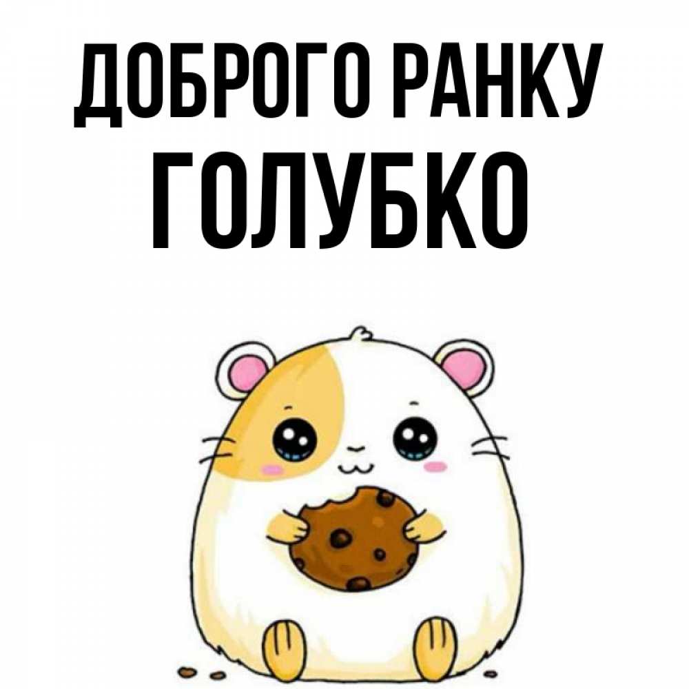 Открытка на каждый день з підписом, Голубко Доброго ранку есть печеньку. Утречко Прикольна листівка з побажанням онлайн скачати безкоштовно 
