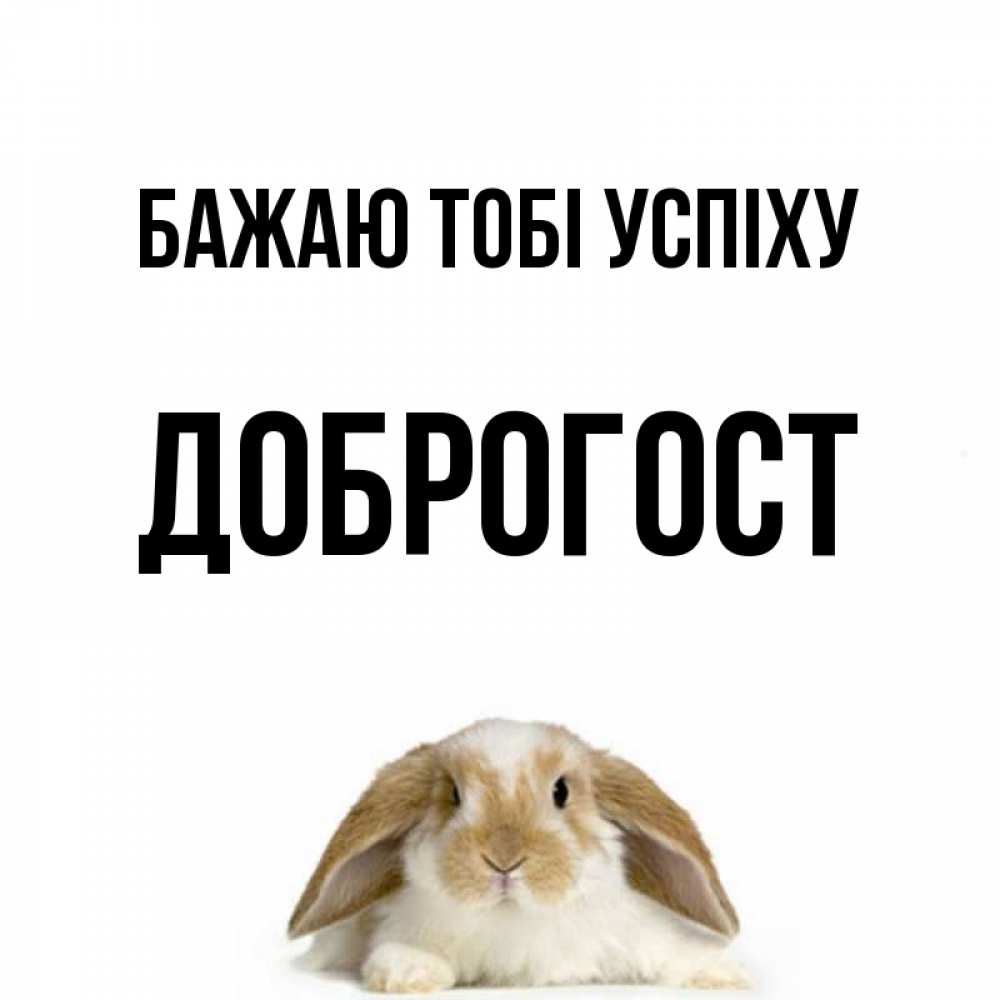Открытка на каждый день з підписом, Доброгост Бажаю тобі успіху открытки с произвольным текстом который можно вставить в открытку и создать ее самостоятельно бесплатно онлайн Прикольна листівка з побажанням онлайн скачати безкоштовно 