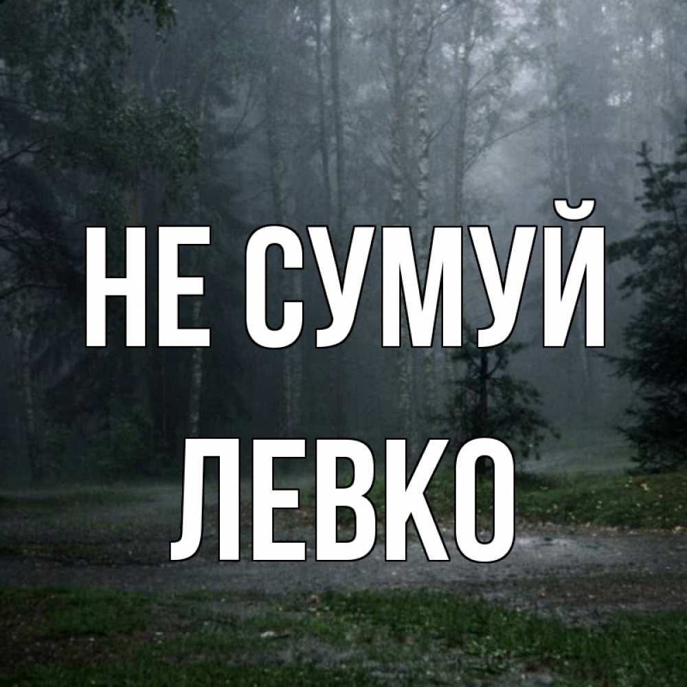 Открытка на каждый день з підписом, Левко Не сумуй осень Прикольна листівка з побажанням онлайн скачати безкоштовно 