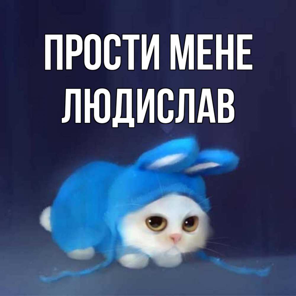 Открытка на каждый день з підписом, Людислав Прости мене невинный котозай просит прощения Прикольна листівка з побажанням онлайн скачати безкоштовно 
