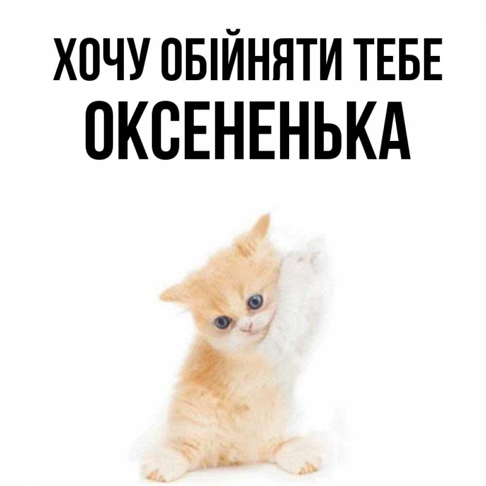 Открытка на каждый день з підписом, Оксененька Хочу обійняти тебе я хочу очень скорее обнимаешек Прикольна листівка з побажанням онлайн скачати безкоштовно 