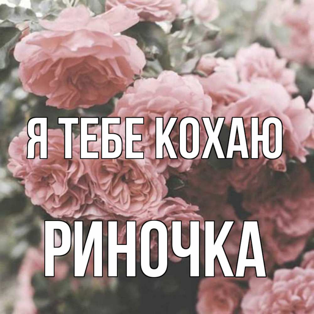 Открытка на каждый день з підписом, Риночка Я тебе кохаю розы 3 Прикольна листівка з побажанням онлайн скачати безкоштовно 