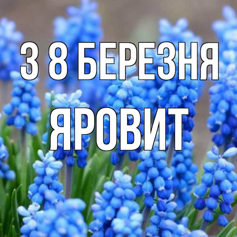 Открытка на каждый день з підписом, Яровит З 8 БЕРЕЗНЯ Поздравительная открытка для женщин с цветами на праздничную дату Прикольна листівка з побажанням онлайн скачати безкоштовно 