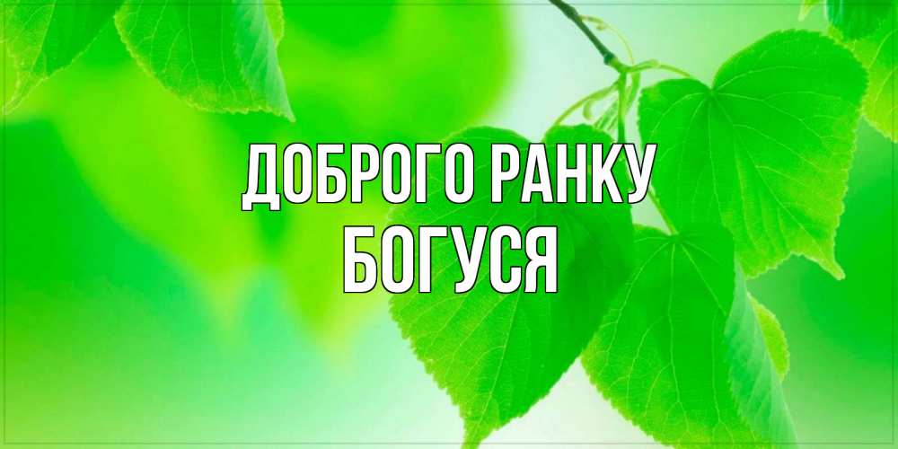 Открытка на каждый день з підписом, Богуся Доброго ранку доброе утро с березовыми листьями Прикольна листівка з побажанням онлайн скачати безкоштовно 