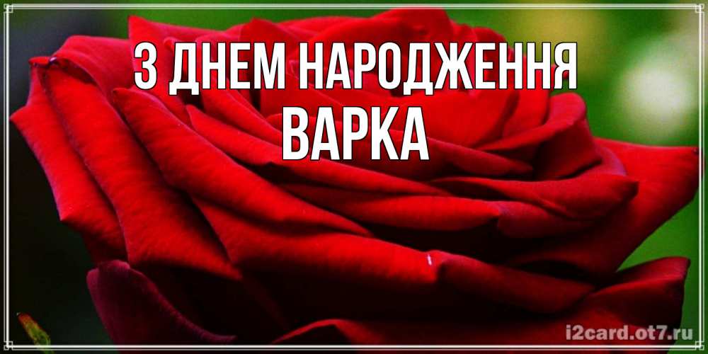 Открытка на каждый день з підписом, Варка З Днем народження розочка очень красивая Прикольна листівка з побажанням онлайн скачати безкоштовно 