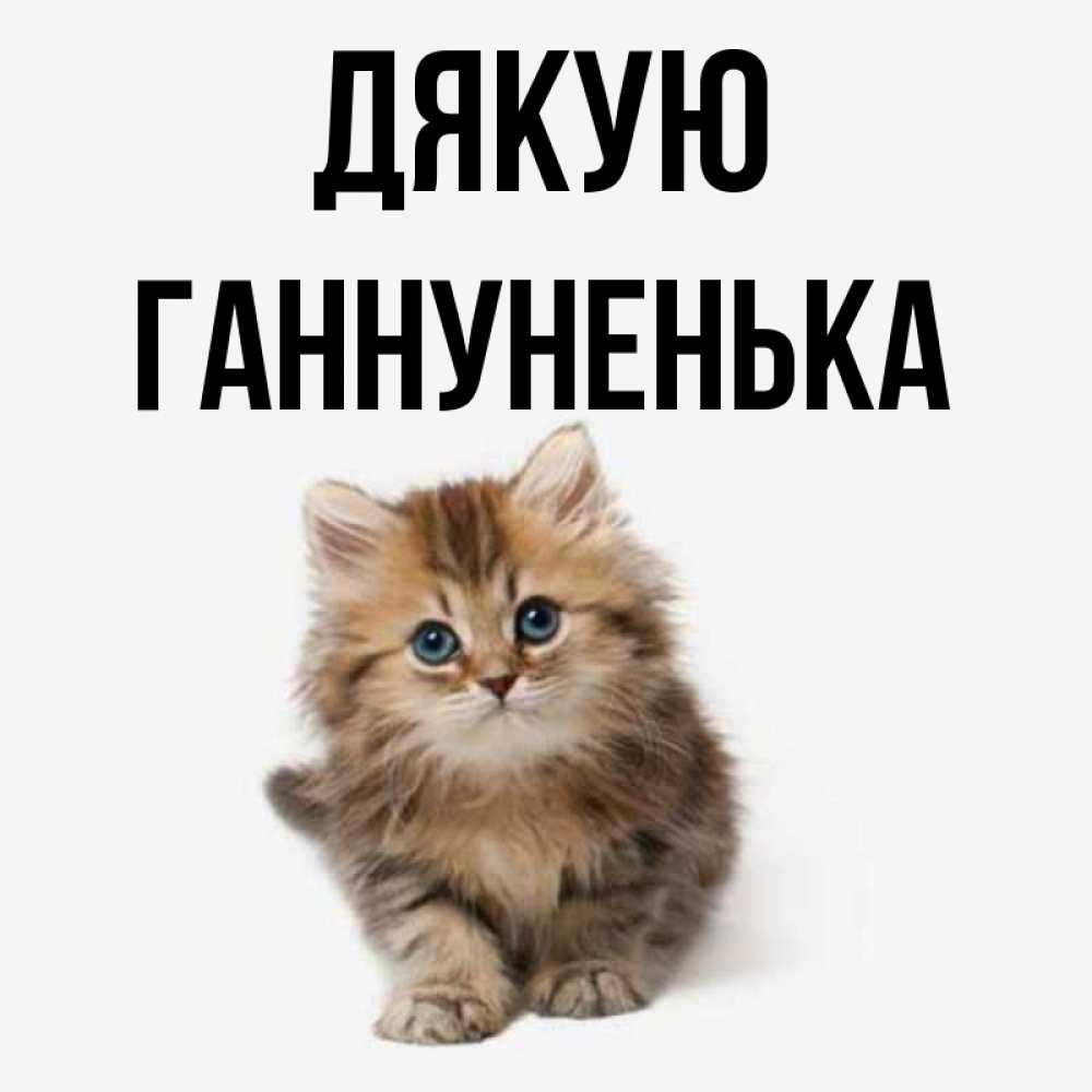 Открытка на каждый день з підписом, Ганнуненька Дякую пушистый котик Прикольна листівка з побажанням онлайн скачати безкоштовно 