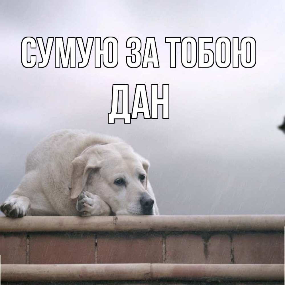 Открытка на каждый день з підписом, Дан Сумую за тобою ждет Прикольна листівка з побажанням онлайн скачати безкоштовно 
