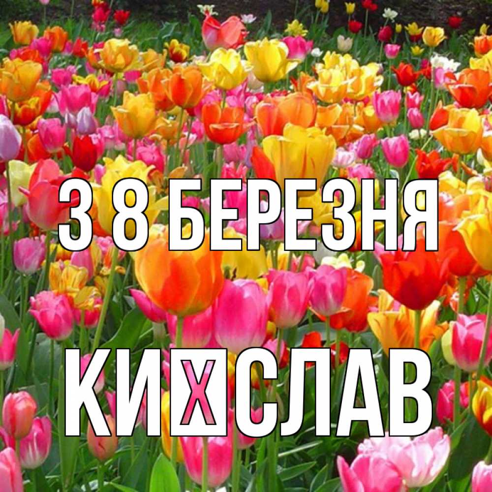 Открытка на каждый день з підписом, Києслав З 8 БЕРЕЗНЯ на международный женский день Прикольна листівка з побажанням онлайн скачати безкоштовно 