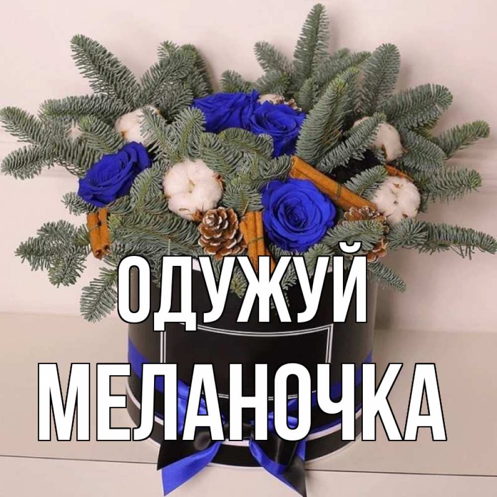 Открытка на каждый день з підписом, Меланочка Одужуй короче кто то загрузил эти шишки Прикольна листівка з побажанням онлайн скачати безкоштовно 