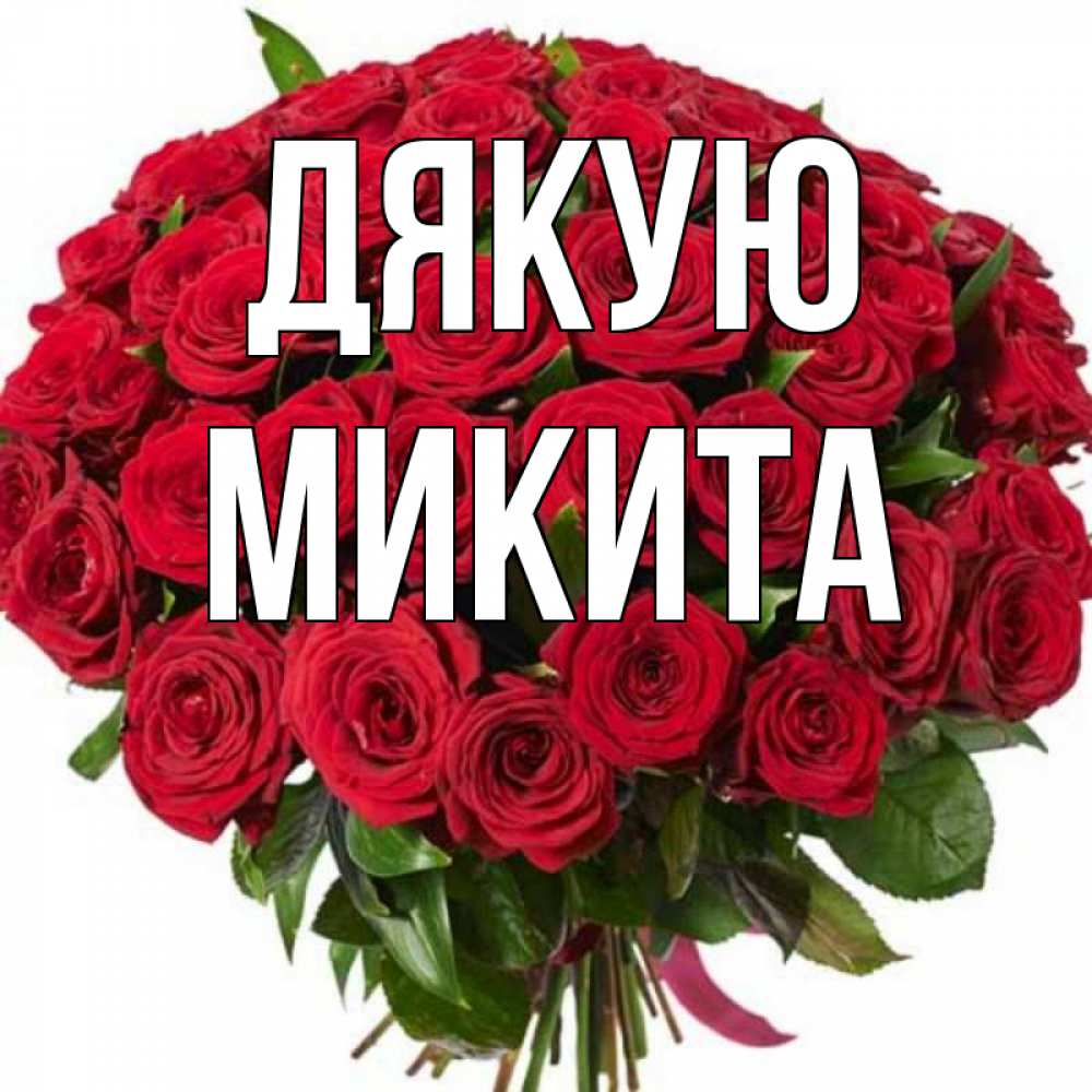 Открытка на каждый день з підписом, Микита Дякую букет красных роз Прикольна листівка з побажанням онлайн скачати безкоштовно 