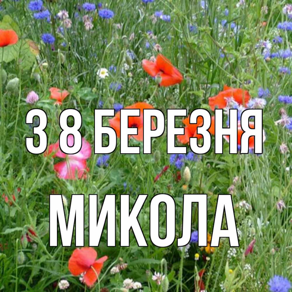 Открытка на каждый день з підписом, Микола З 8 БЕРЕЗНЯ международный женский день 4 Прикольна листівка з побажанням онлайн скачати безкоштовно 