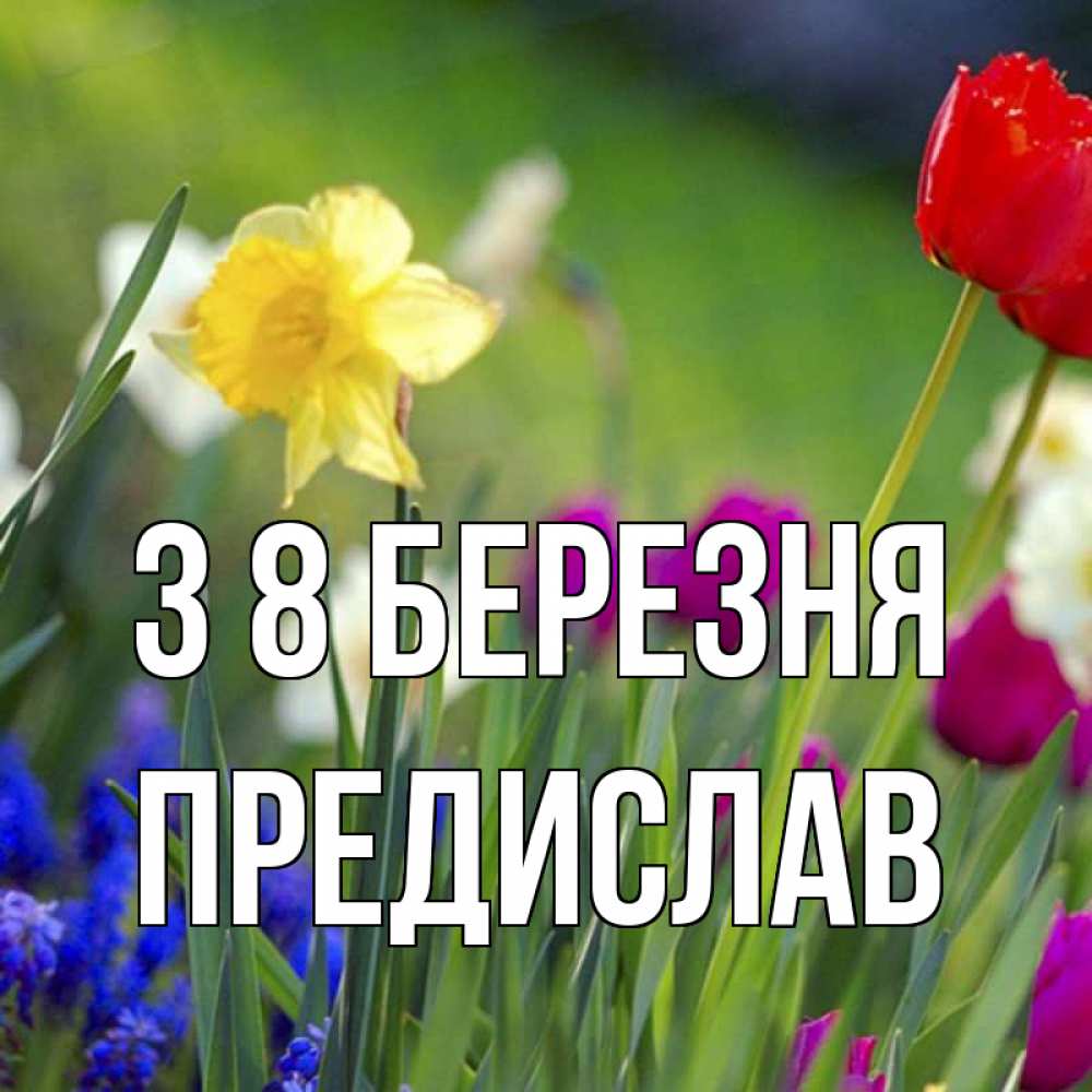 Открытка на каждый день з підписом, Предислав З 8 БЕРЕЗНЯ международный женский день 3 Прикольна листівка з побажанням онлайн скачати безкоштовно 