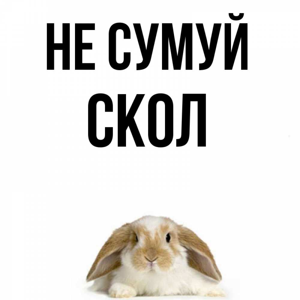 Открытка на каждый день з підписом, Скол Не сумуй коричнево белый заяц с большими ушками Прикольна листівка з побажанням онлайн скачати безкоштовно 