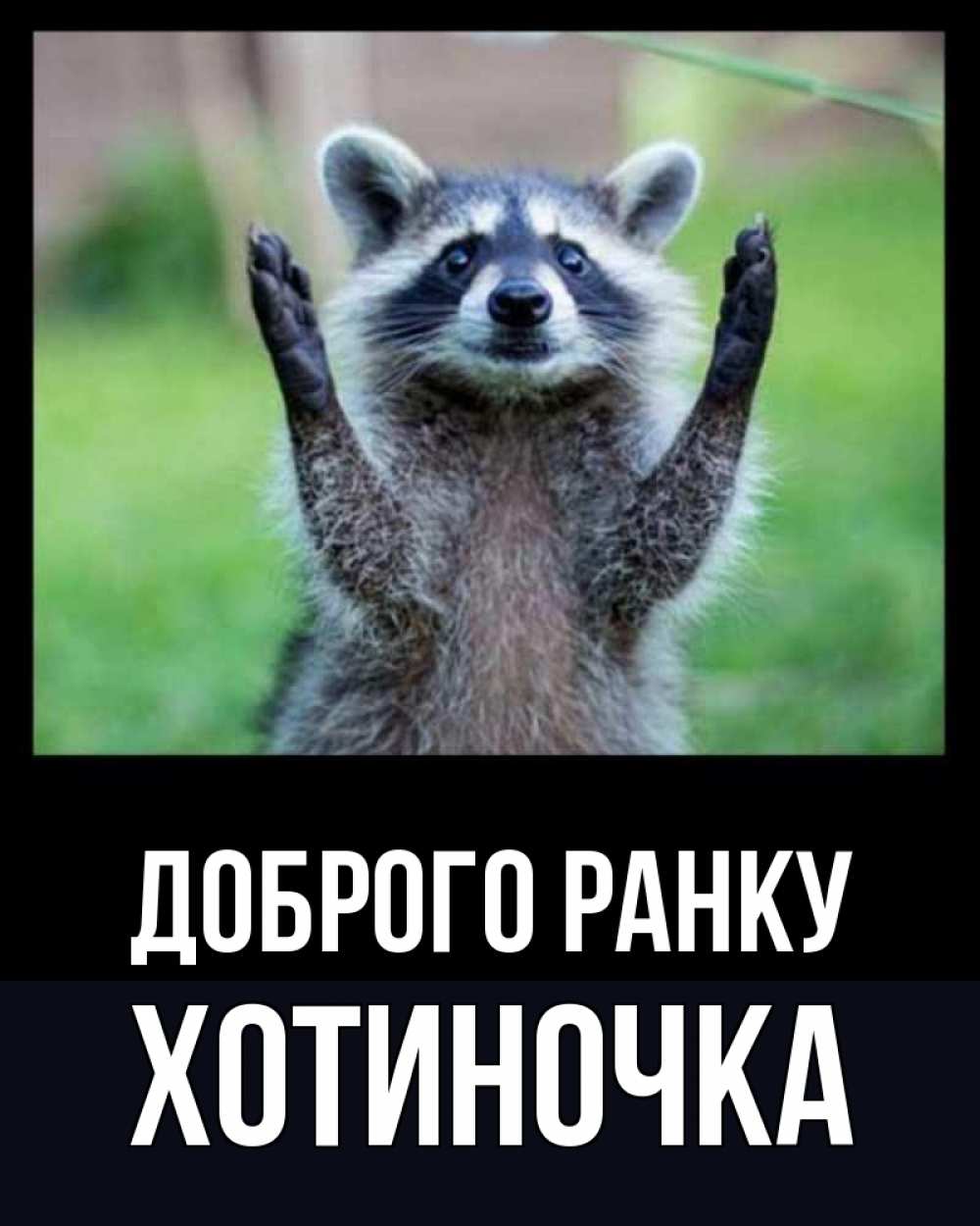 Открытка на каждый день з підписом, Хотиночка Доброго ранку хорошее настроение утречком Прикольна листівка з побажанням онлайн скачати безкоштовно 