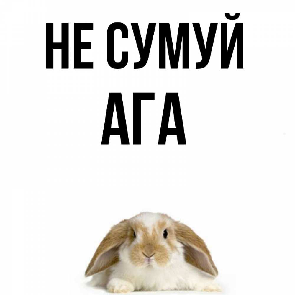Открытка на каждый день з підписом, Ага Не сумуй коричнево белый заяц с большими ушками Прикольна листівка з побажанням онлайн скачати безкоштовно 