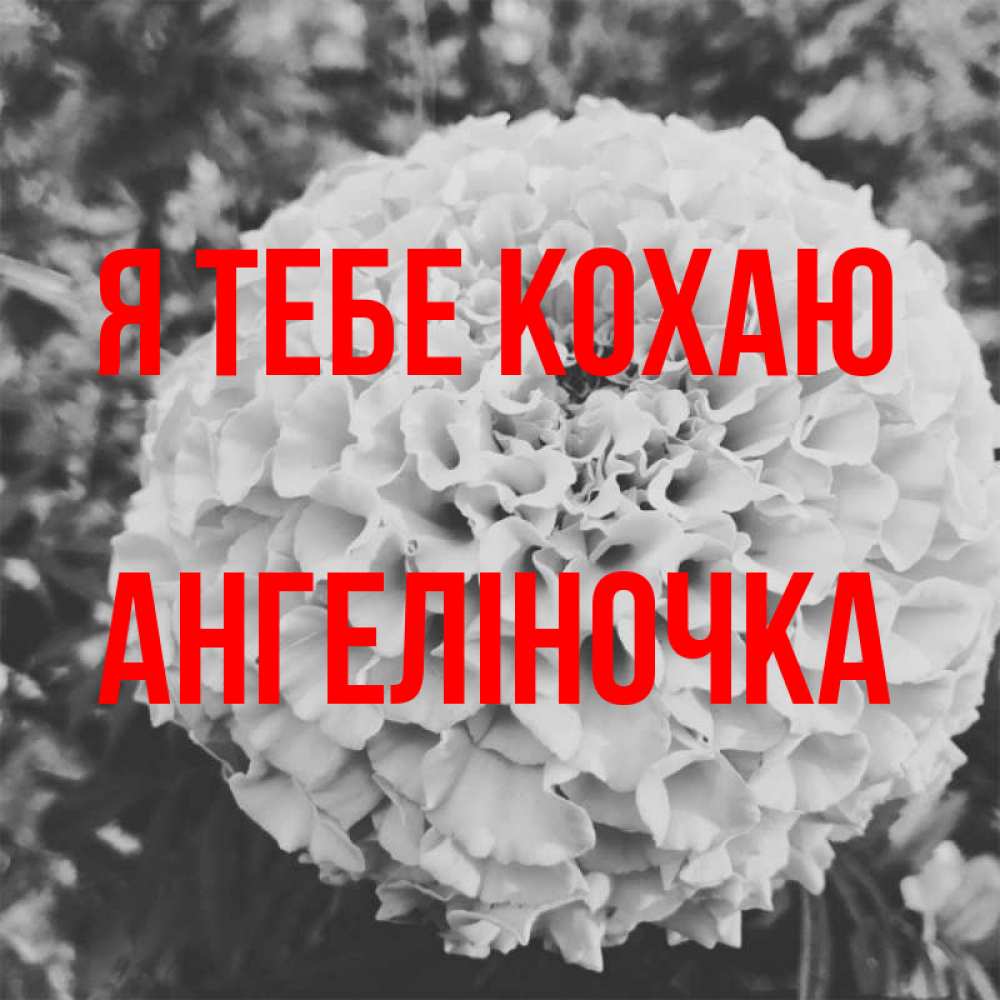Открытка на каждый день з підписом, Ангеліночка Я тебе кохаю подпись Прикольна листівка з побажанням онлайн скачати безкоштовно 