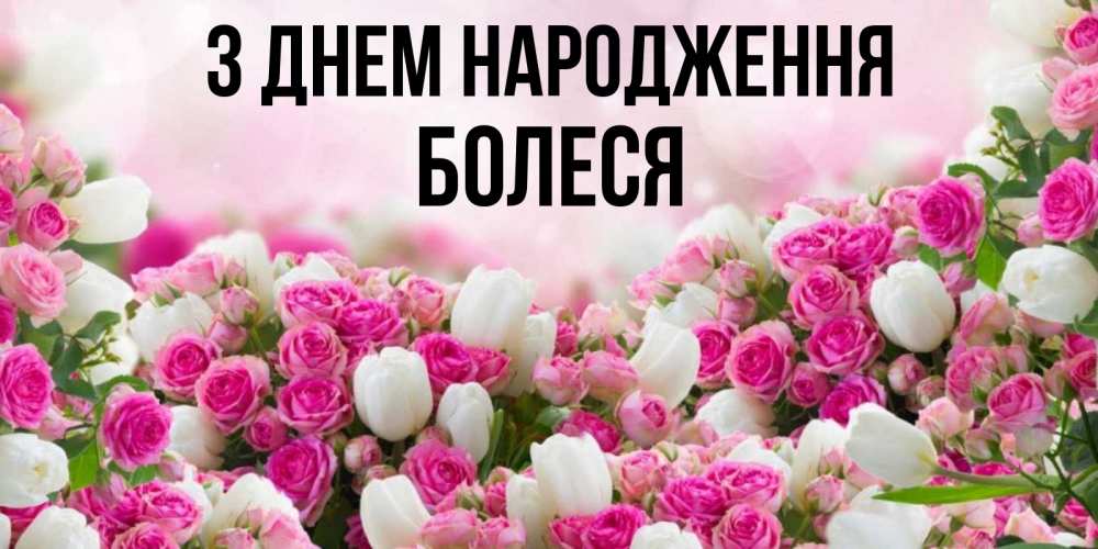 Открытка на каждый день з підписом, Болеся З Днем народження открытка с разными розами Прикольна листівка з побажанням онлайн скачати безкоштовно 