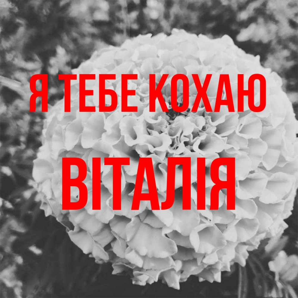 Открытка на каждый день з підписом, Віталія Я тебе кохаю подпись Прикольна листівка з побажанням онлайн скачати безкоштовно 