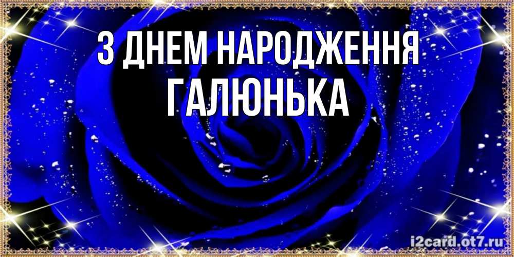 Открытка на каждый день з підписом, Галюнька З Днем народження голубые цветы в росе Прикольна листівка з побажанням онлайн скачати безкоштовно 