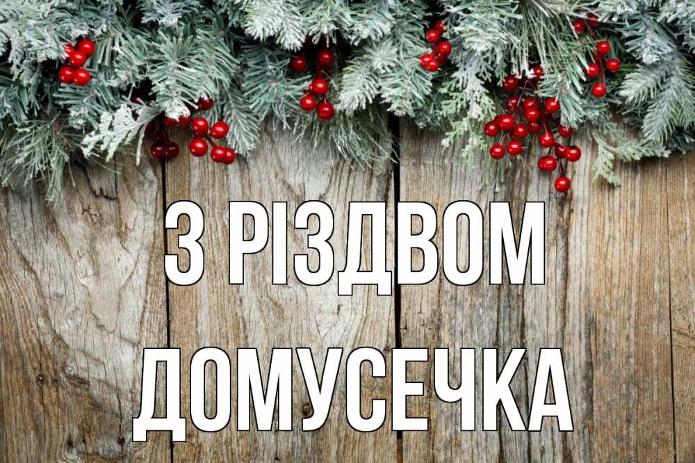 Открытка на каждый день з підписом, Домусечка З Різдвом с рождеством Прикольна листівка з побажанням онлайн скачати безкоштовно 