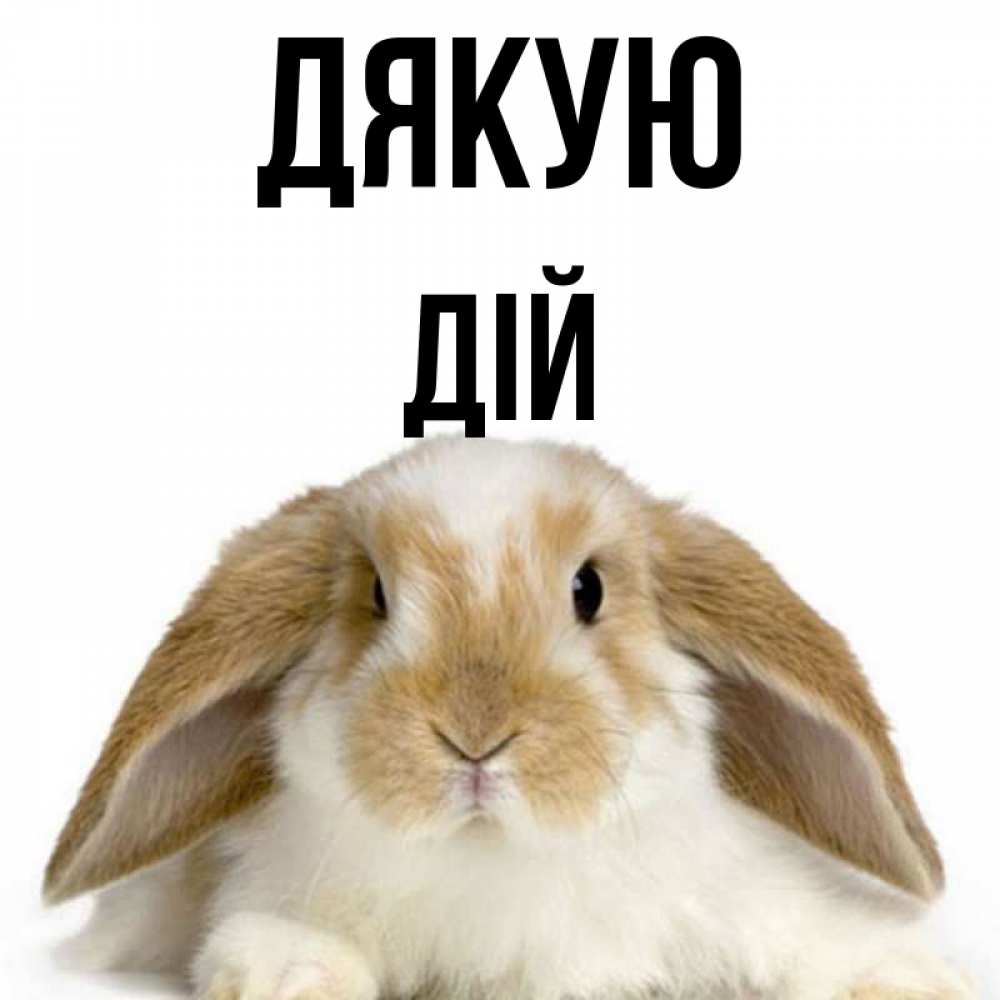 Открытка на каждый день з підписом, Дій Дякую коричнево белый заяц Прикольна листівка з побажанням онлайн скачати безкоштовно 