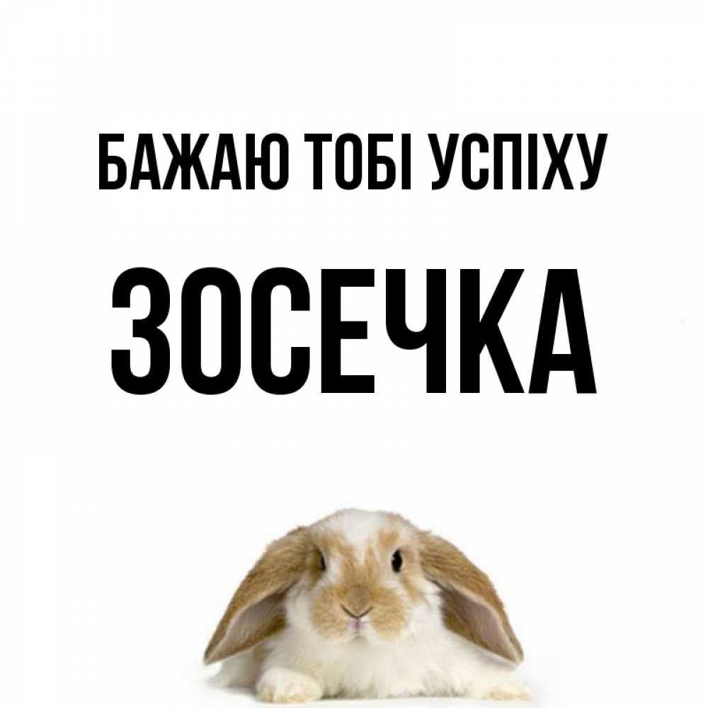 Открытка на каждый день з підписом, Зосечка Бажаю тобі успіху открытки с произвольным текстом который можно вставить в открытку и создать ее самостоятельно бесплатно онлайн Прикольна листівка з побажанням онлайн скачати безкоштовно 