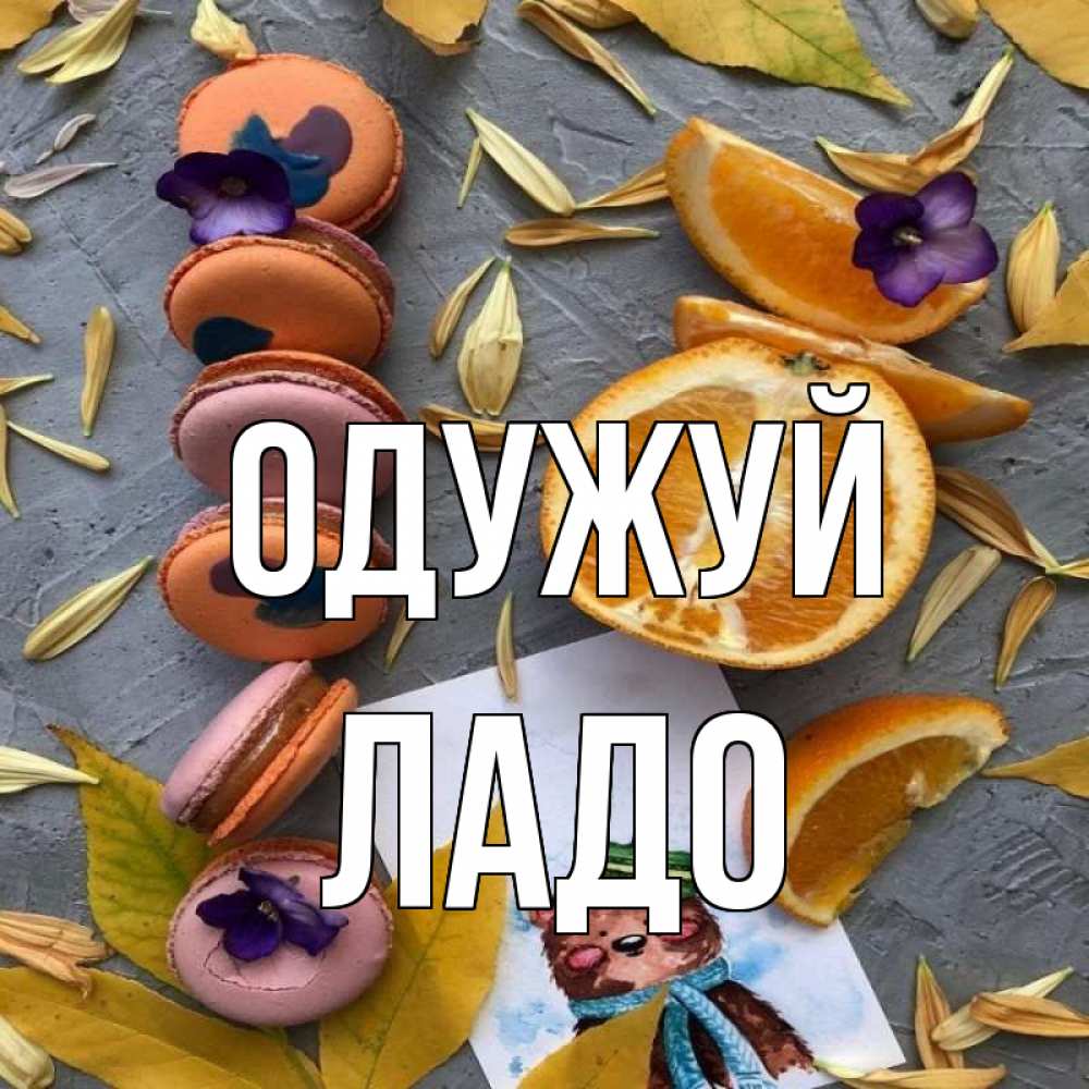 Открытка на каждый день з підписом, Ладо Одужуй не болейте Прикольна листівка з побажанням онлайн скачати безкоштовно 