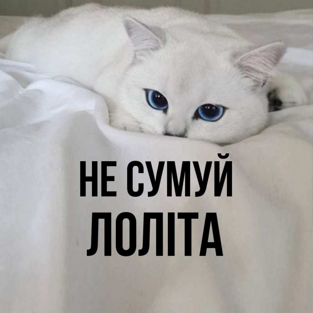 Открытка на каждый день з підписом, Лоліта Не сумуй Голубоглазая кошка Прикольна листівка з побажанням онлайн скачати безкоштовно 