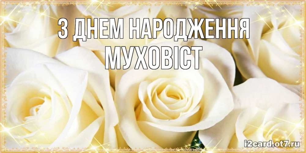 Открытка на каждый день з підписом, Муховіст З Днем народження розочки белого цвета на открытке Прикольна листівка з побажанням онлайн скачати безкоштовно 