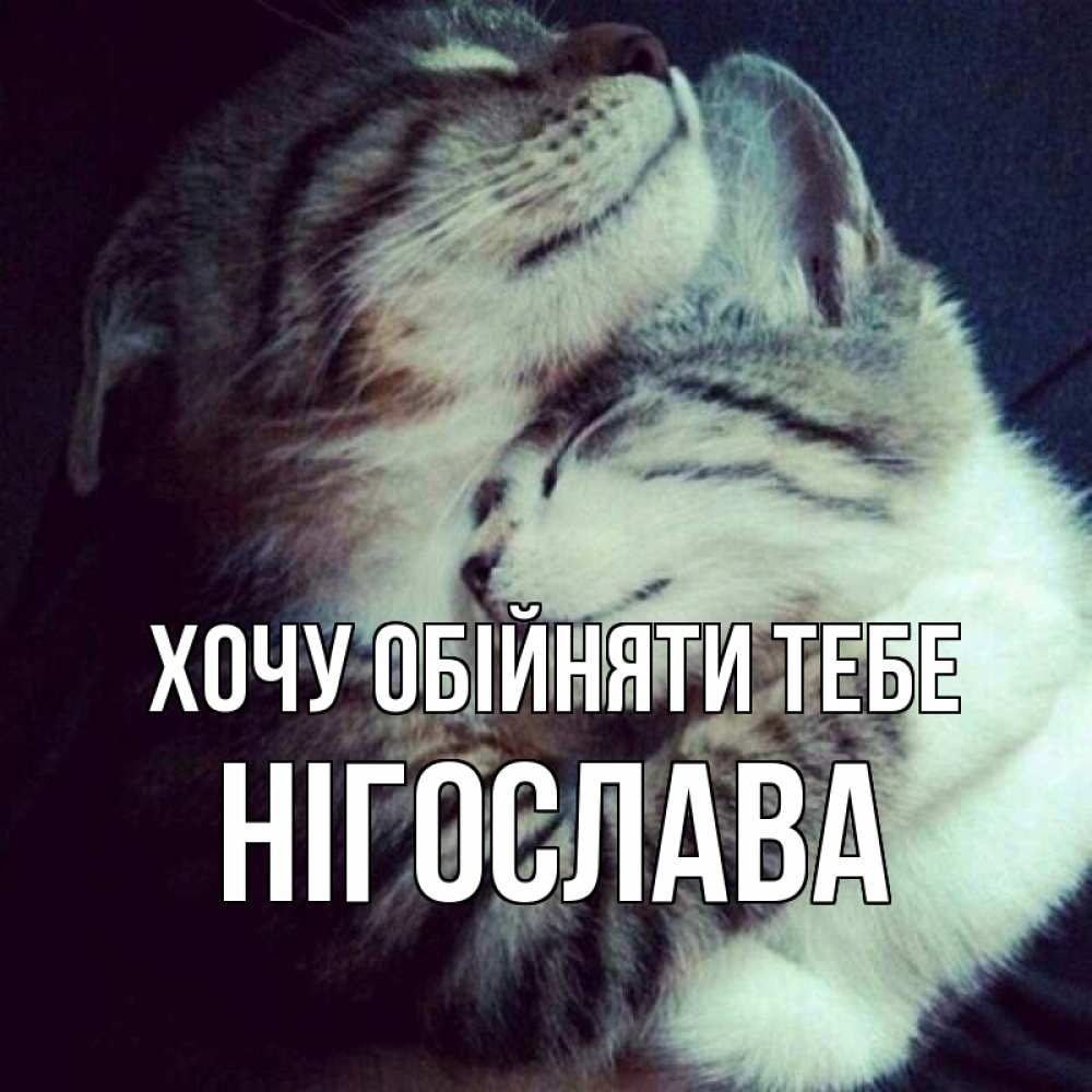 Открытка на каждый день з підписом, Нігослава Хочу обійняти тебе полосатики Прикольна листівка з побажанням онлайн скачати безкоштовно 