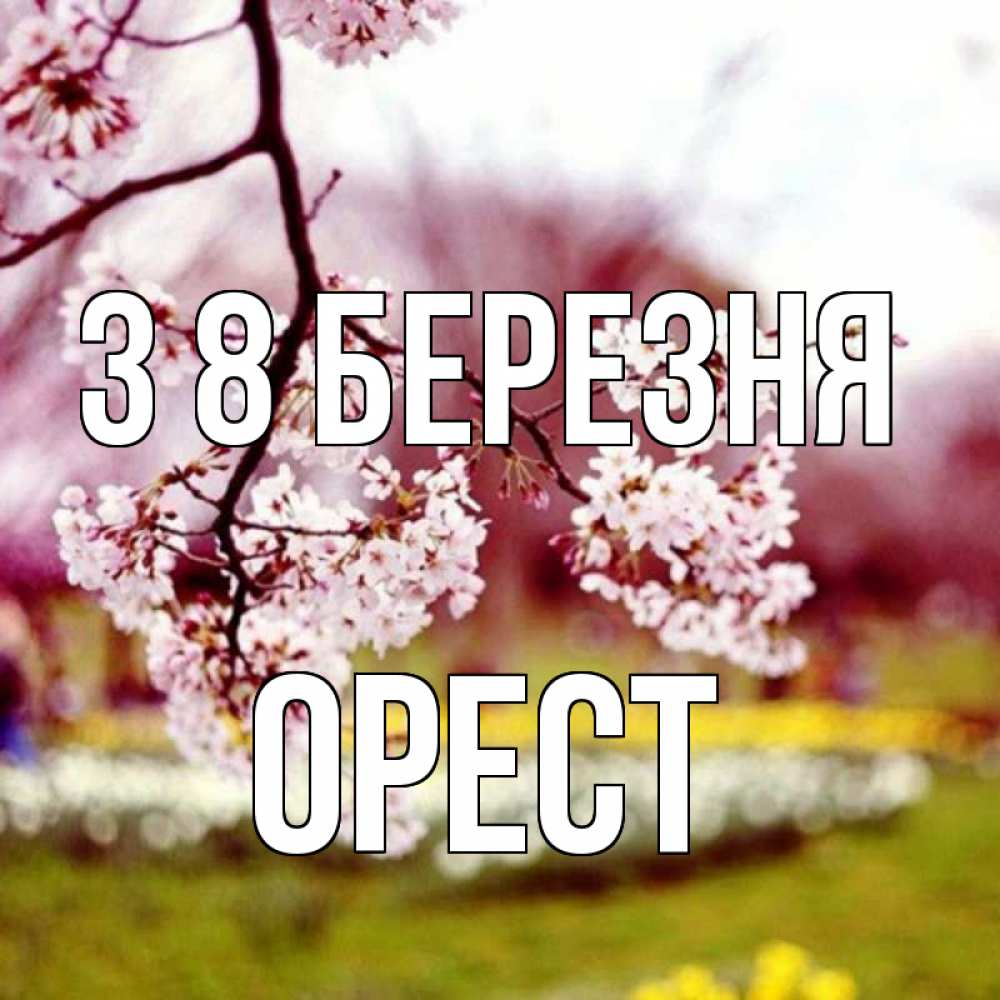 Открытка на каждый день з підписом, Орест З 8 БЕРЕЗНЯ яблоня Прикольна листівка з побажанням онлайн скачати безкоштовно 