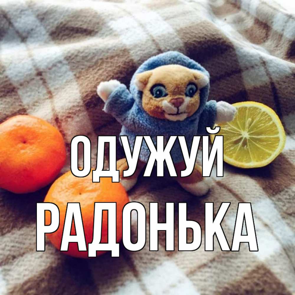 Открытка на каждый день з підписом, Радонька Одужуй вот тебе апельсинка и лимон Прикольна листівка з побажанням онлайн скачати безкоштовно 