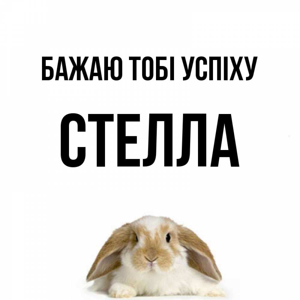 Открытка на каждый день з підписом, Стелла Бажаю тобі успіху открытки с произвольным текстом который можно вставить в открытку и создать ее самостоятельно бесплатно онлайн Прикольна листівка з побажанням онлайн скачати безкоштовно 