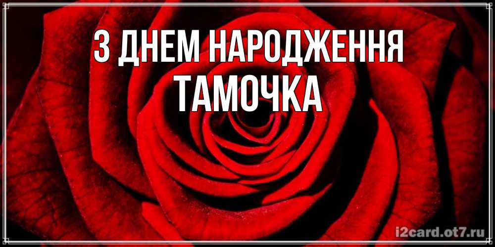 Открытка на каждый день з підписом, Тамочка З Днем народження алая роза Прикольна листівка з побажанням онлайн скачати безкоштовно 
