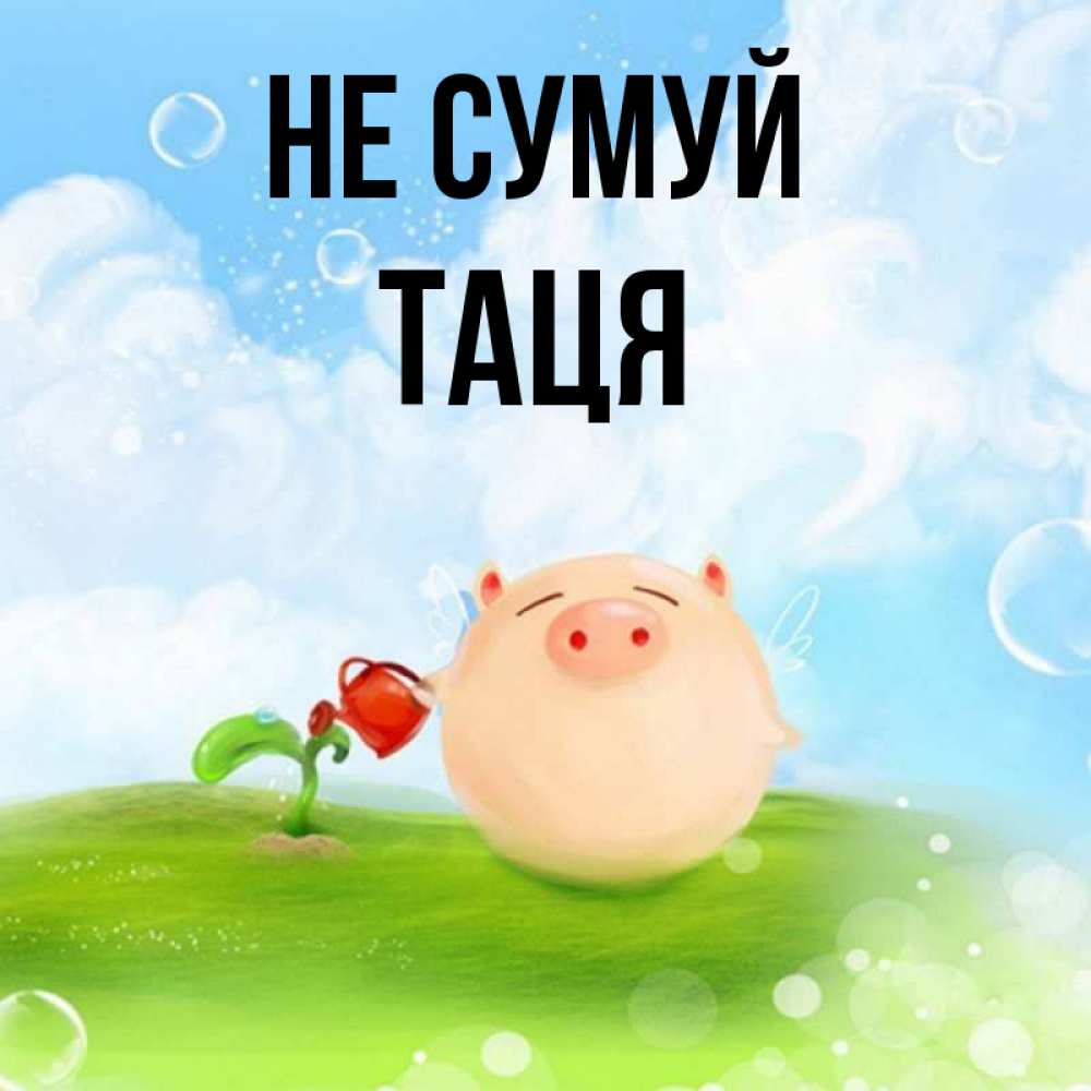 Открытка на каждый день з підписом, Таця Не сумуй поливает цветок порося Прикольна листівка з побажанням онлайн скачати безкоштовно 