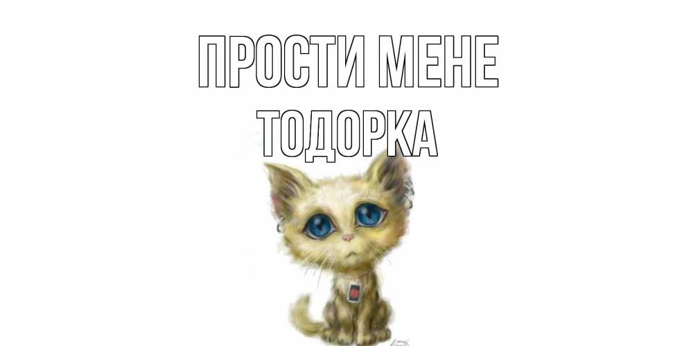 Открытка на каждый день з підписом, Тодорка Прости мене прости меня открытка с котиком Прикольна листівка з побажанням онлайн скачати безкоштовно 