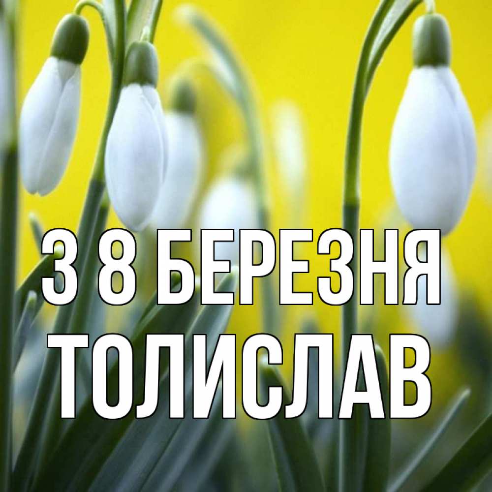 Открытка на каждый день з підписом, Толислав З 8 БЕРЕЗНЯ весенние цветы Прикольна листівка з побажанням онлайн скачати безкоштовно 