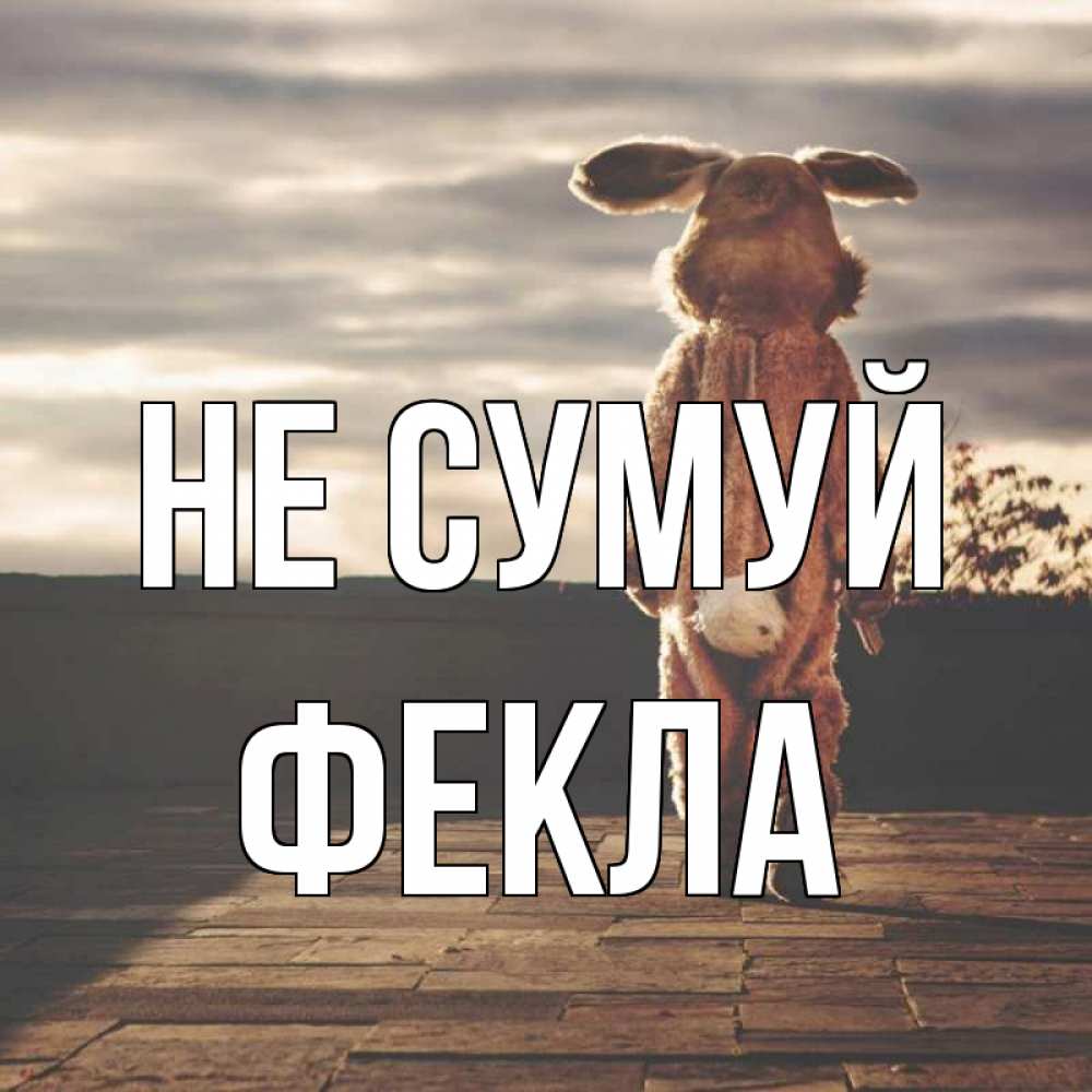 Открытка на каждый день з підписом, Фекла Не сумуй со спины Прикольна листівка з побажанням онлайн скачати безкоштовно 