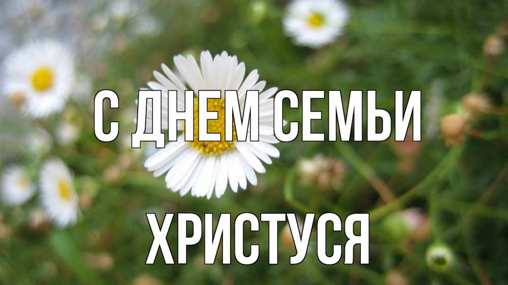 Открытка на каждый день з підписом, Христуся С днем семьи с днем семьи Прикольна листівка з побажанням онлайн скачати безкоштовно 