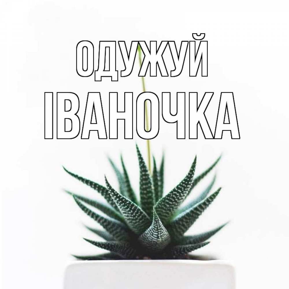 Открытка на каждый день з підписом, Іваночка Одужуй короче это непонятная колючка Прикольна листівка з побажанням онлайн скачати безкоштовно 