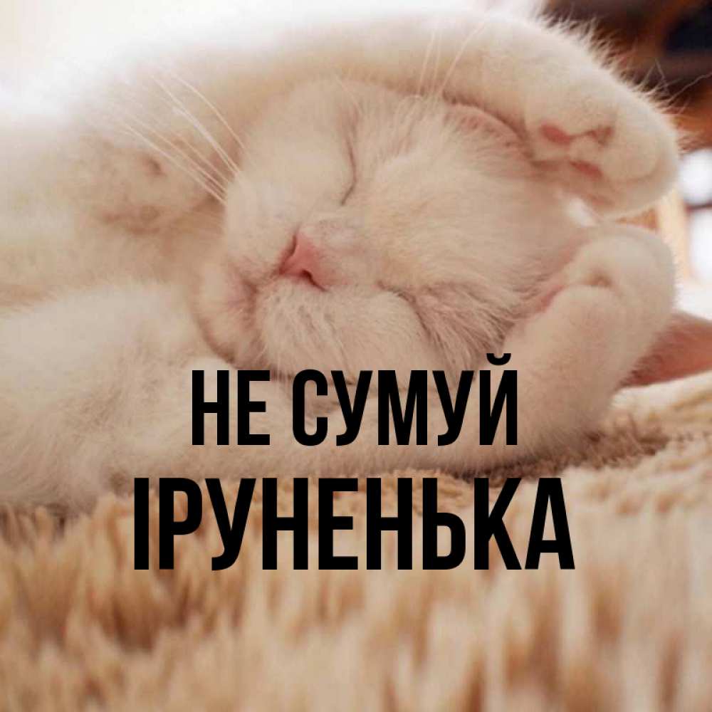 Открытка на каждый день з підписом, Іруненька Не сумуй Котенок спит Прикольна листівка з побажанням онлайн скачати безкоштовно 