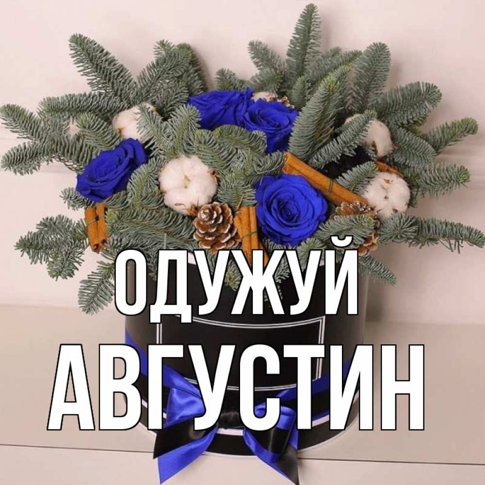 Открытка на каждый день з підписом, Августин Одужуй короче кто то загрузил эти шишки Прикольна листівка з побажанням онлайн скачати безкоштовно 